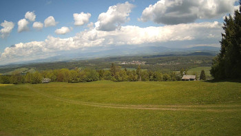 Zvičina