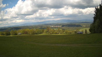 Zvičina