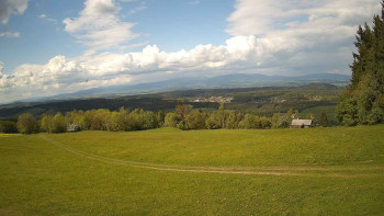 Zvičina