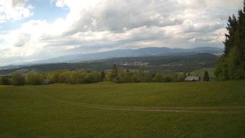 Zvičina