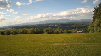 Zvičina