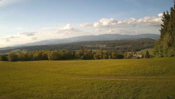 Zvičina