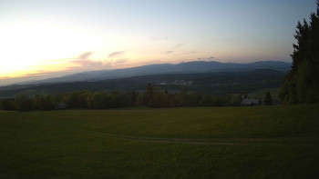 Zvičina