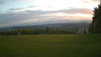 Zvičina