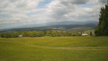 Zvičina