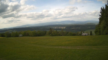 Zvičina