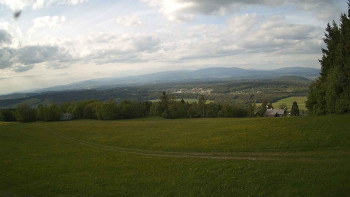 Zvičina