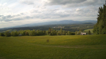 Zvičina