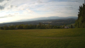 Zvičina