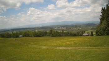 Zvičina