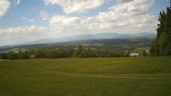 Zvičina