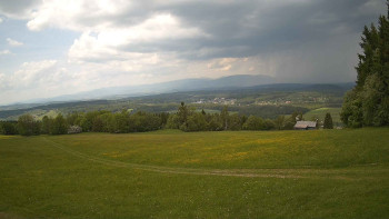Zvičina