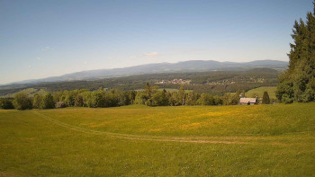 Zvičina