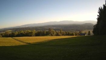 Zvičina