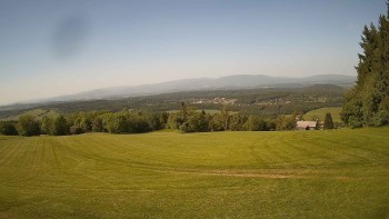 Zvičina