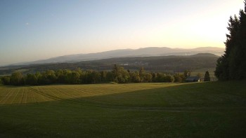 Zvičina