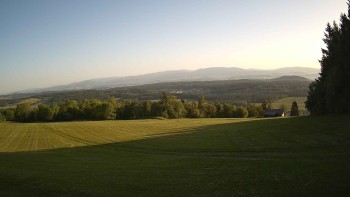 Zvičina