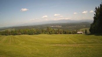 Zvičina