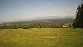 Zvičina