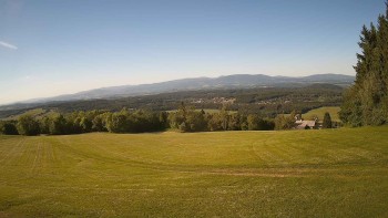 Zvičina