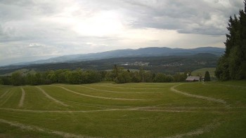 Zvičina