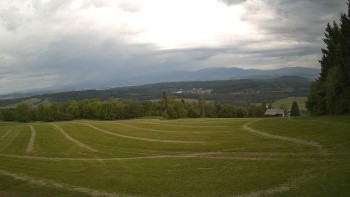Zvičina