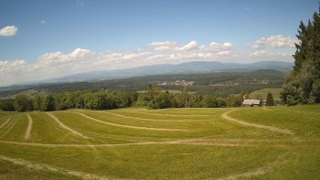 Zvičina