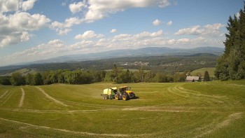 Zvičina