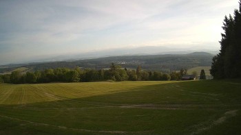 Zvičina