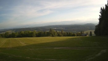 Zvičina
