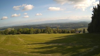 Zvičina