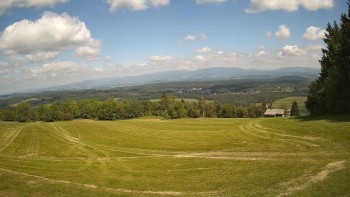 Zvičina