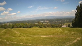 Zvičina