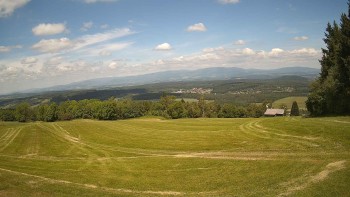 Zvičina