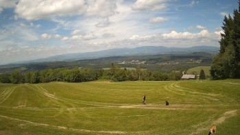 Zvičina