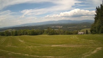 Zvičina