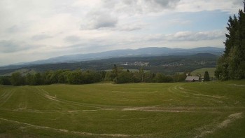 Zvičina