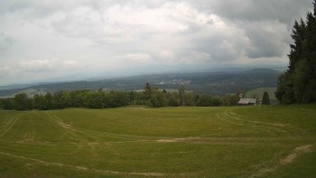 Zvičina