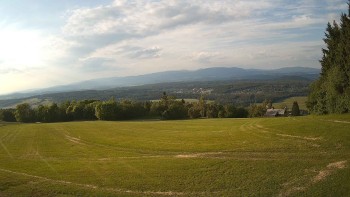 Zvičina
