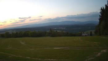 Zvičina