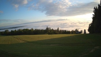 Zvičina