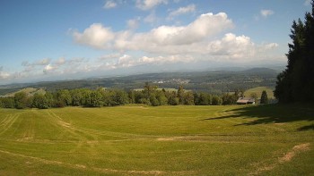 Zvičina