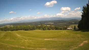 Zvičina