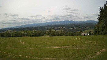 Zvičina