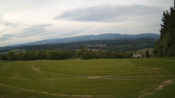 Zvičina
