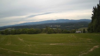 Zvičina