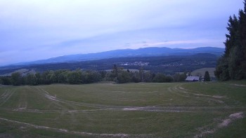 Zvičina