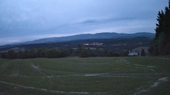 Zvičina