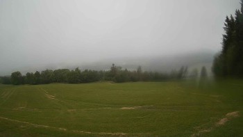 Zvičina