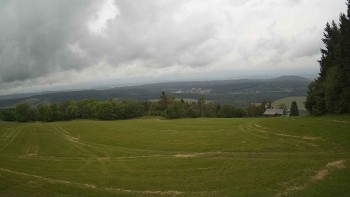 Zvičina